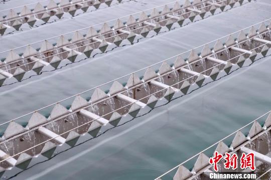 广州北部水厂一期工程试运行 惠及150万人口