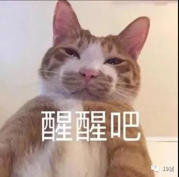 春节逼婚？网友们把明星照片当成对象发给父母，结果紮心了哈哈哈