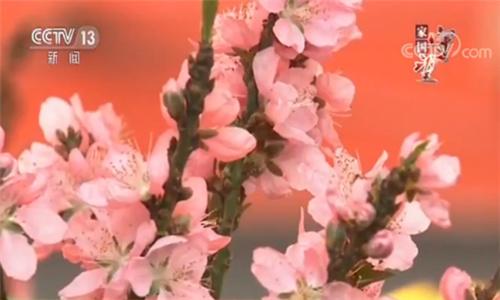 广州：今年花更好 为见开门红