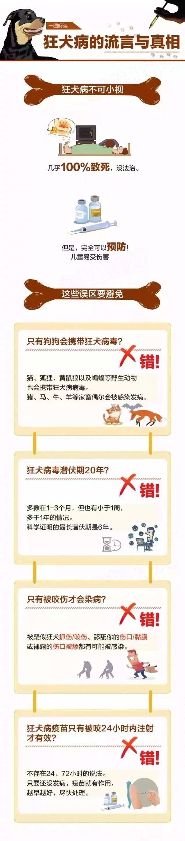 被狗舔後40天，9岁孩子突然不幸死亡…养宠物一定注意！