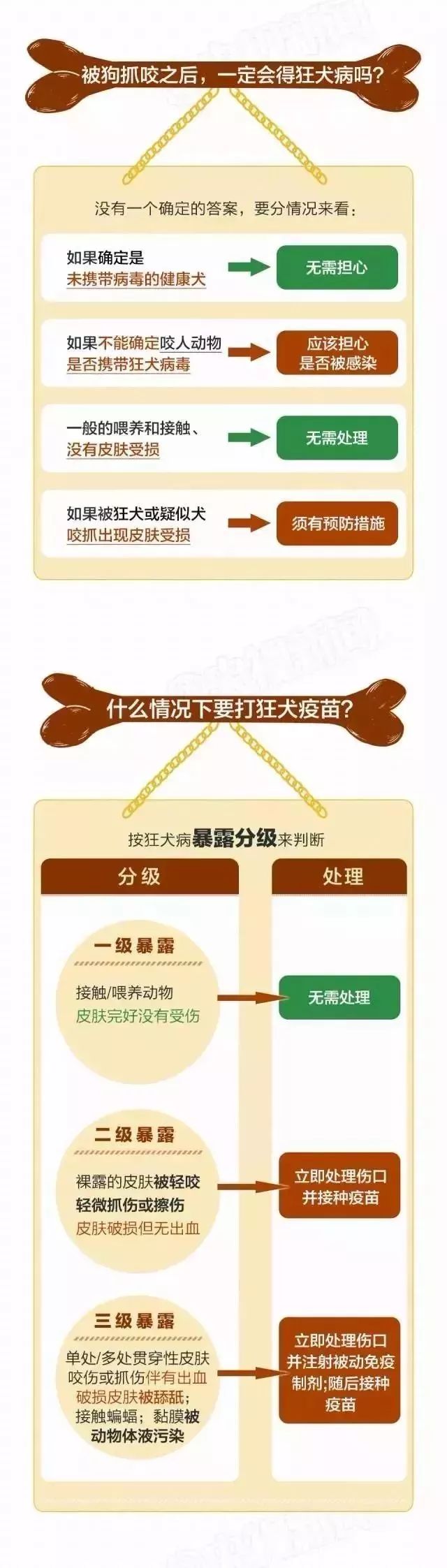 被狗舔後40天，9岁孩子突然不幸死亡…养宠物一定注意！