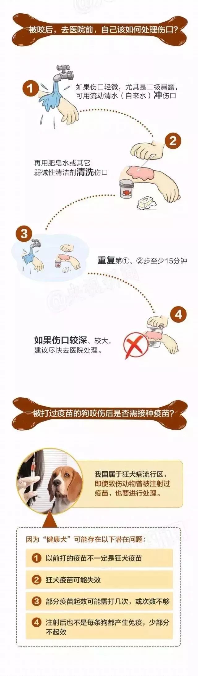 被狗舔後40天，9岁孩子突然不幸死亡…养宠物一定注意！