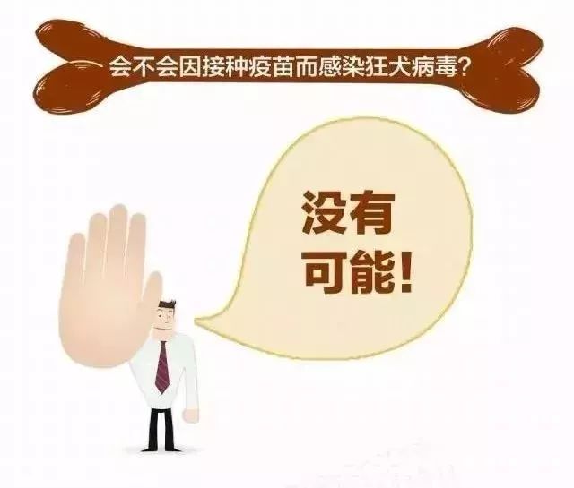被狗舔後40天，9岁孩子突然不幸死亡…养宠物一定注意！