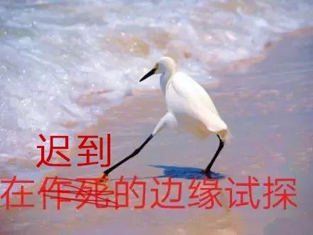 今早，成都地铁4号线挤上了热搜！这封“致歉信”暖了上班族的心
