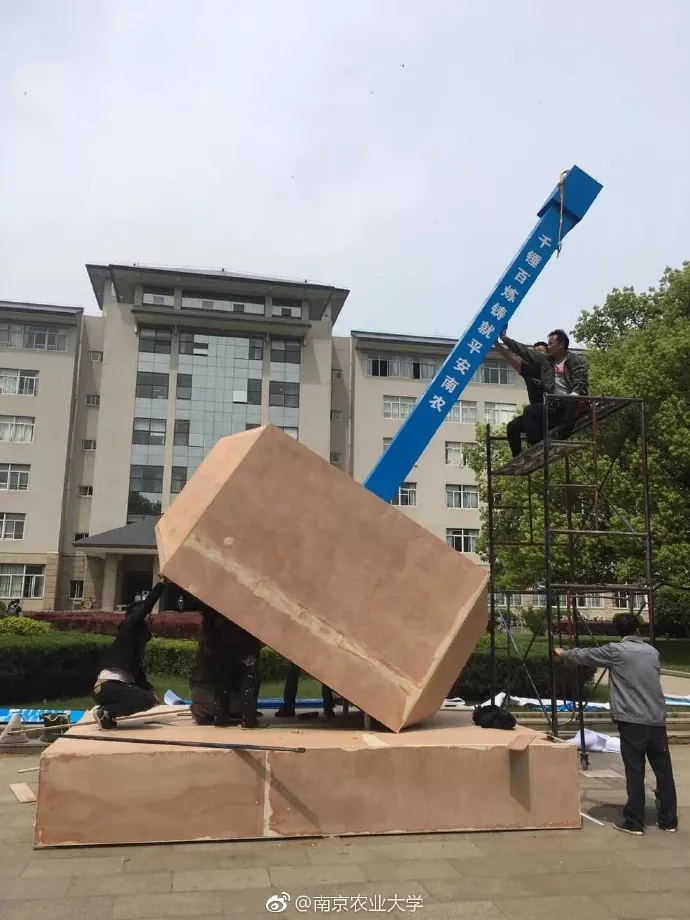 “南京鎚子大学”火了！背後有深意…