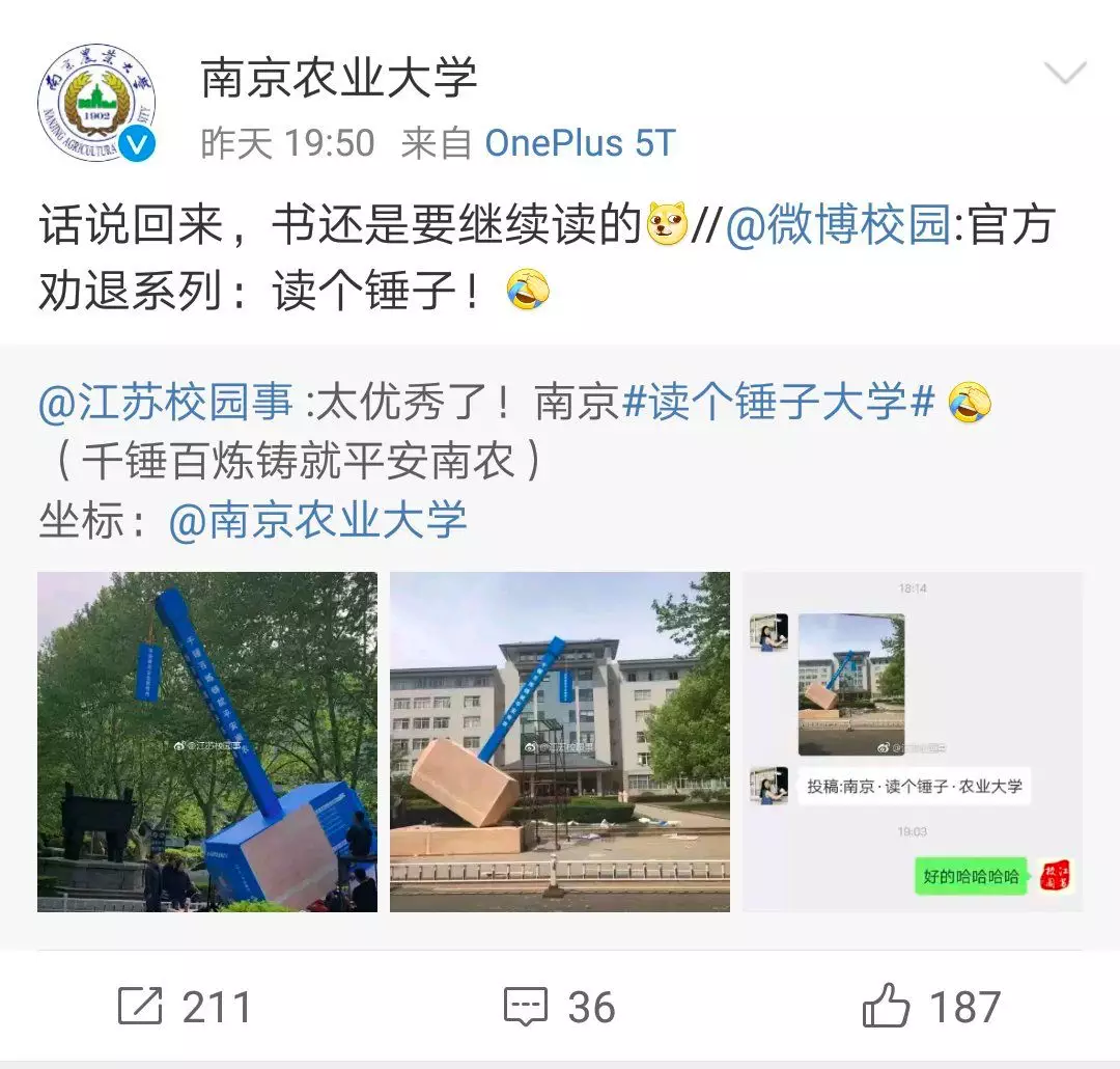 “南京鎚子大学”火了！背後有深意…