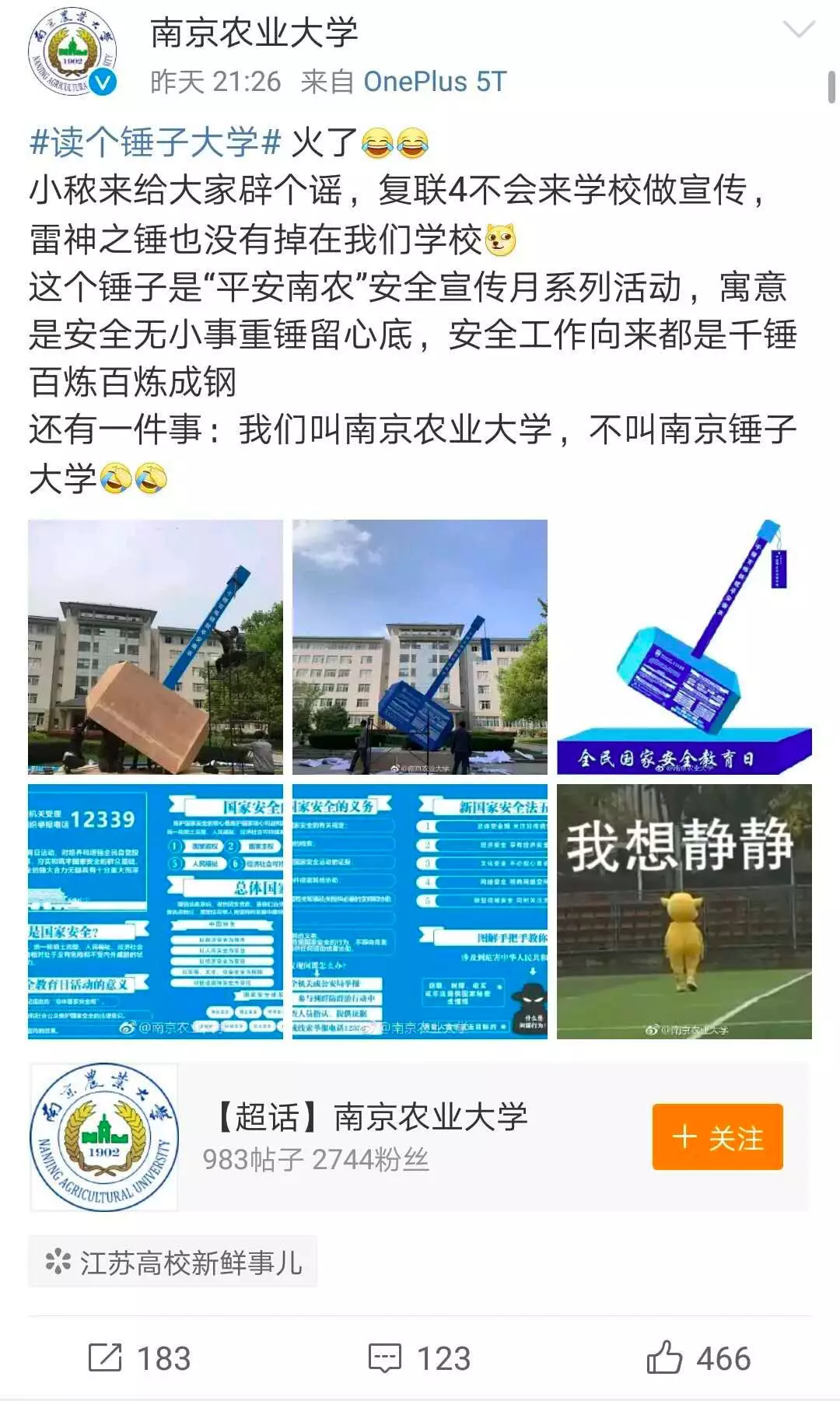“南京鎚子大学”火了！背後有深意…