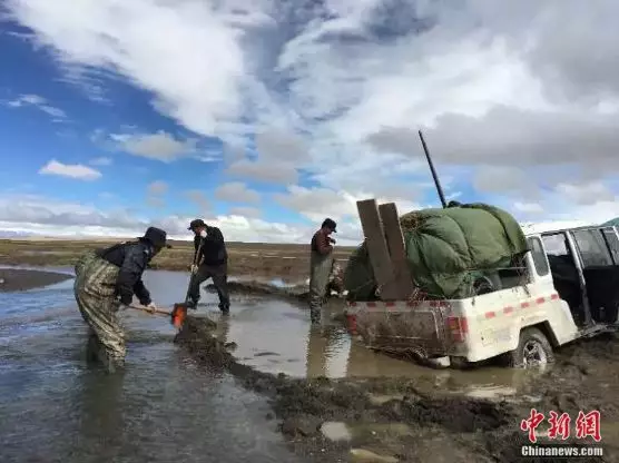 背靠戈壁面朝天，这群驻守在可可西里的年轻人图啥？