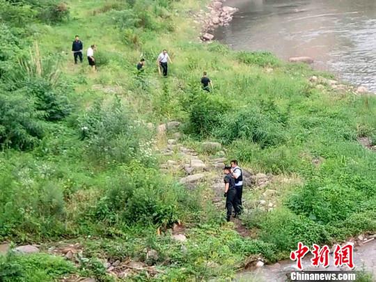 一头野猪闯进四川南江县城 特警合围将其击毙