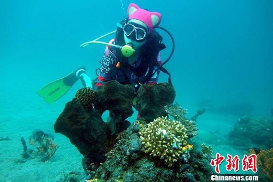 260斤胖妹瘦身开店潜水：努力就会遇到更好的自己
