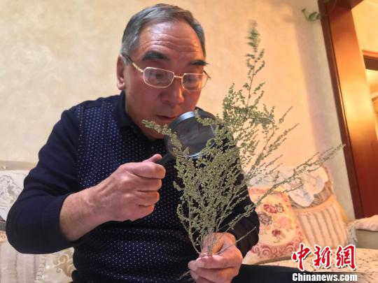 祁连山守护者：行程近10万公里收录千种野生植物素材