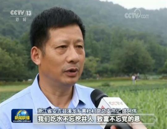 安吉白茶生根西部 先富帮後富 共奔小康路