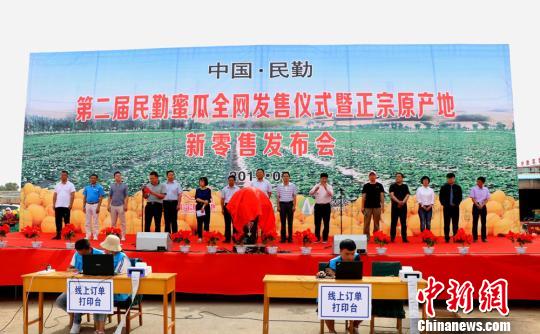 甘肃民勤大漠蜜瓜飘香上市 众电商助力进千家万户餐桌
