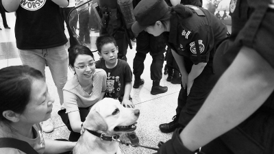 “反恐”走进航站楼 警犬可爱成明星