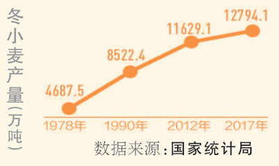 今年冬小麦力争稳定在3.3亿亩以上（礼赞70年）