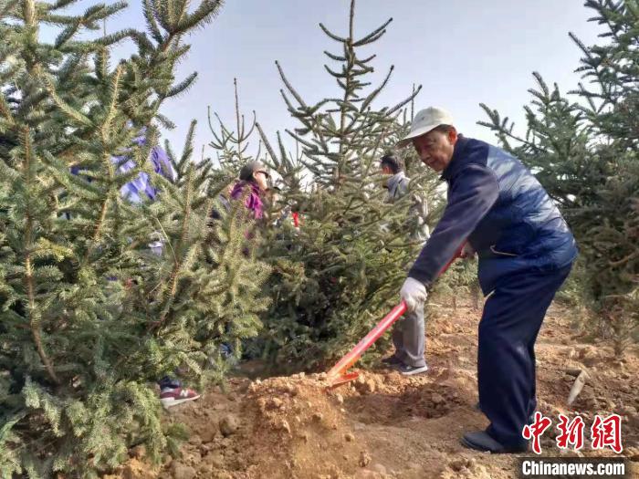 黄河上游百万民众参与植树造林 筑起“绿色屏障”