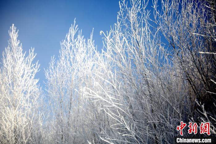 最低温-38.3℃ “中国最冷小镇”呼中现雾凇美景
